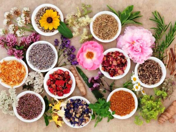 تاریخچه طب سنتی